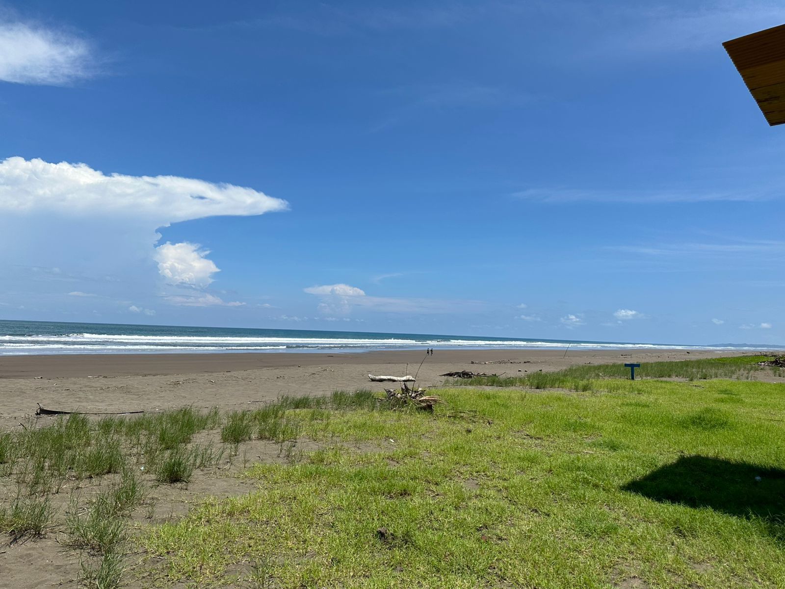 Pacific beach near the lot